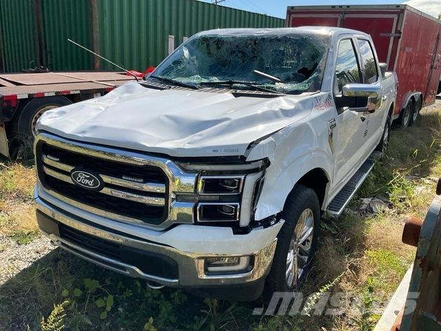 Ford F-150 Pick up/Fiancata ribaltabile