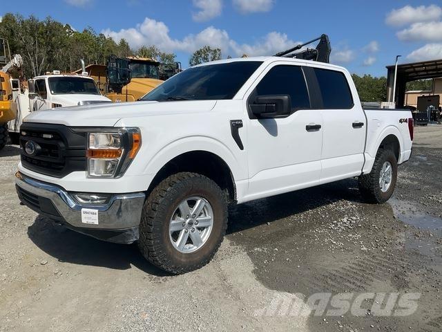 Ford F-150 Pick up/Fiancata ribaltabile