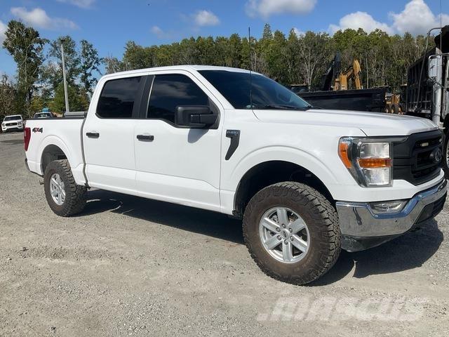 Ford F-150 Pick up/Fiancata ribaltabile