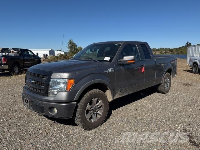 Ford F-150 Pick up/Fiancata ribaltabile
