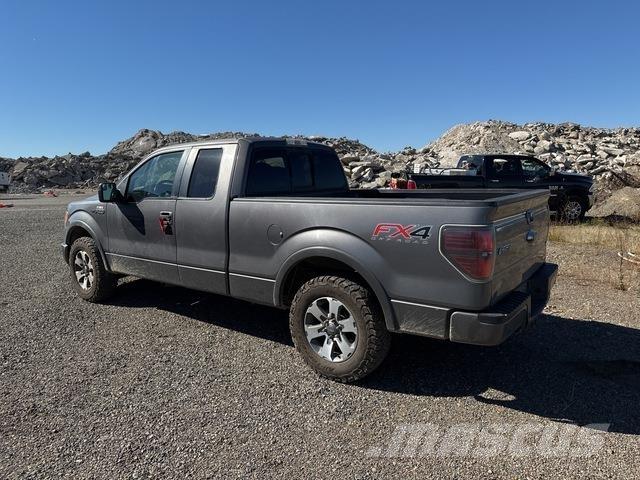 Ford F-150 Pick up/Fiancata ribaltabile