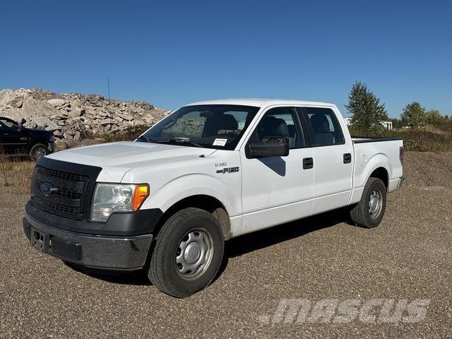 Ford F-150 Pick up/Fiancata ribaltabile