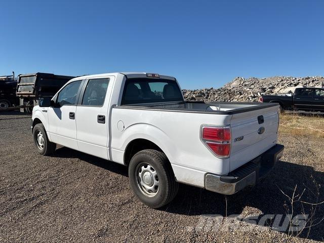 Ford F-150 Pick up/Fiancata ribaltabile