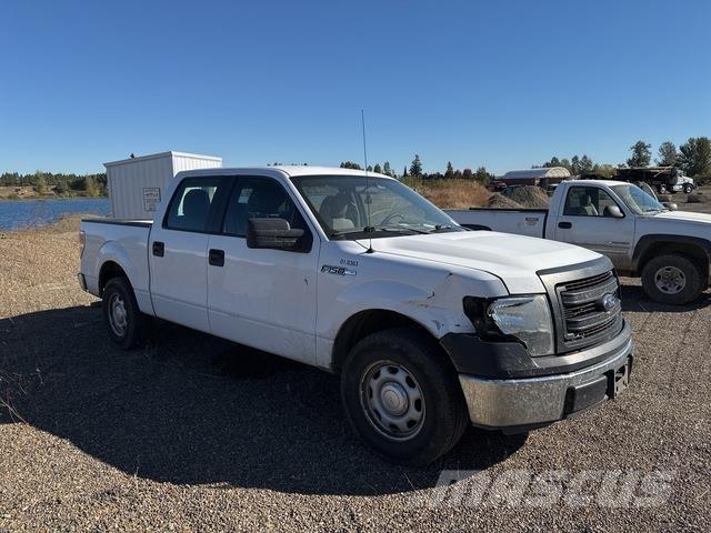 Ford F-150 Pick up/Fiancata ribaltabile