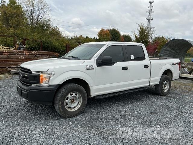 Ford F-150 Pick up/Fiancata ribaltabile