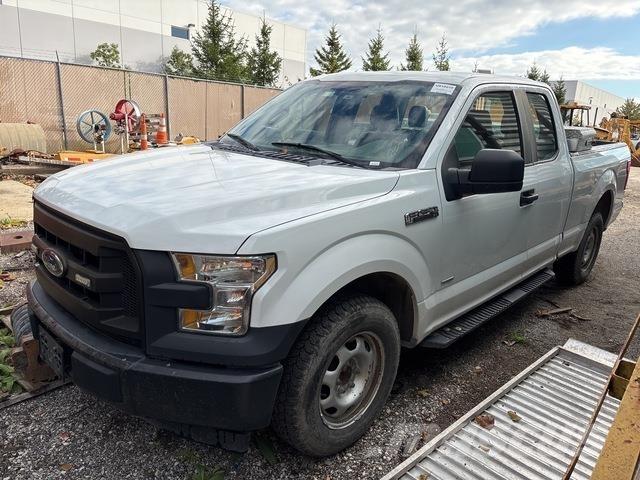 Ford F-150 Pick up/Fiancata ribaltabile