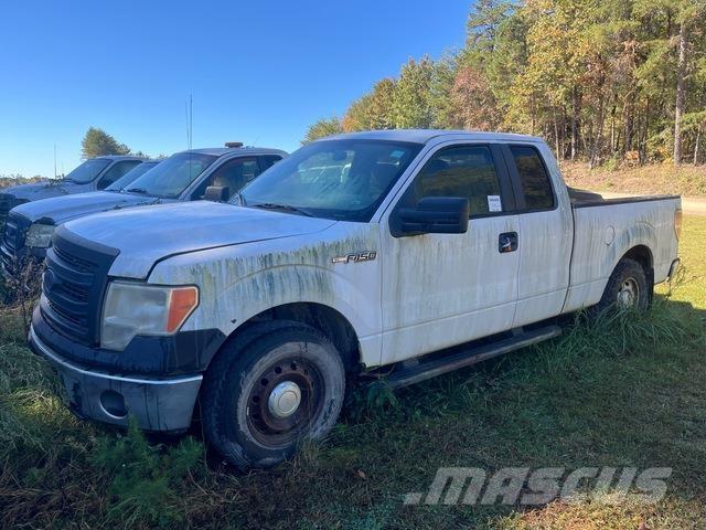 Ford F-150 Pick up/Fiancata ribaltabile