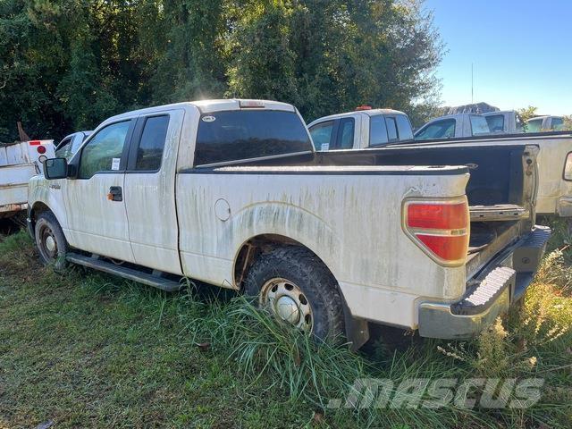 Ford F-150 Pick up/Fiancata ribaltabile