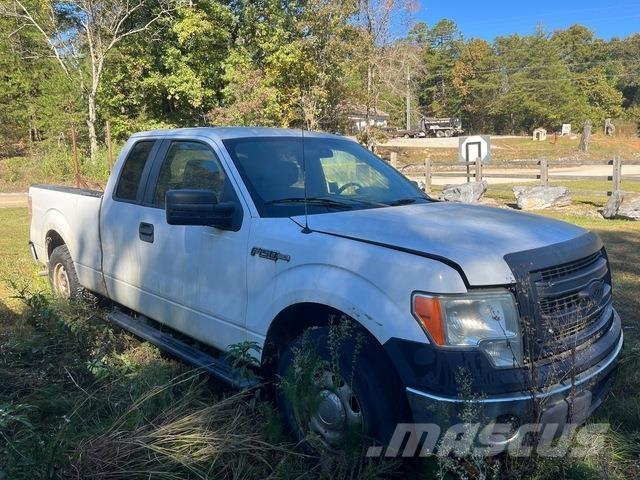 Ford F-150 Pick up/Fiancata ribaltabile