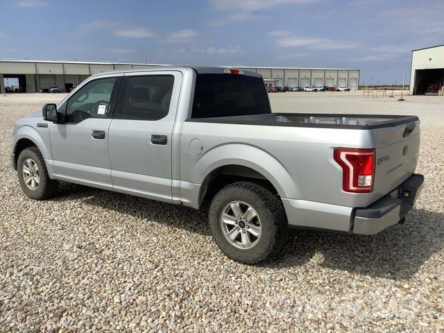 Ford F-150 Pick up/Fiancata ribaltabile