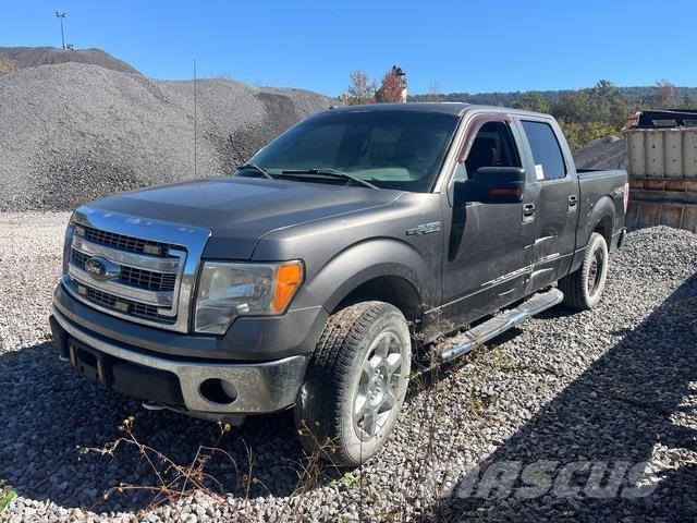 Ford F-150 Pick up/Fiancata ribaltabile