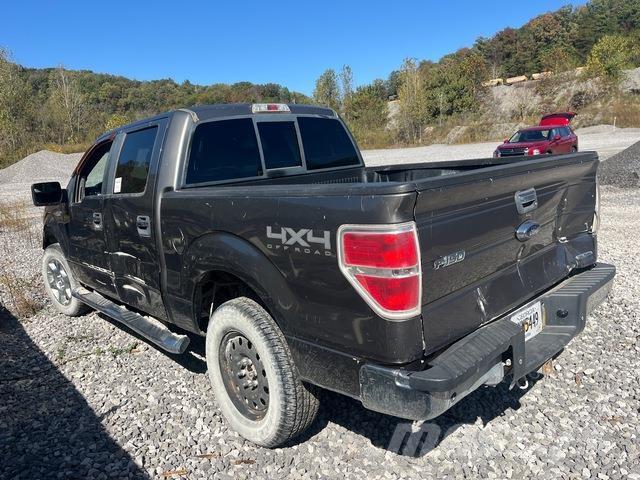 Ford F-150 Pick up/Fiancata ribaltabile