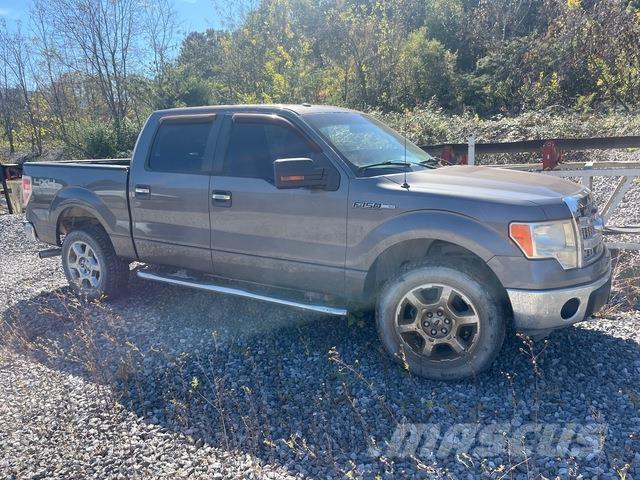 Ford F-150 Pick up/Fiancata ribaltabile