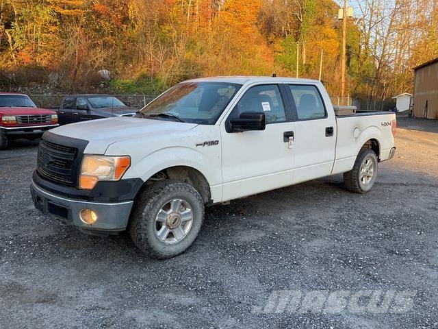 Ford F-150 Pick up/Fiancata ribaltabile