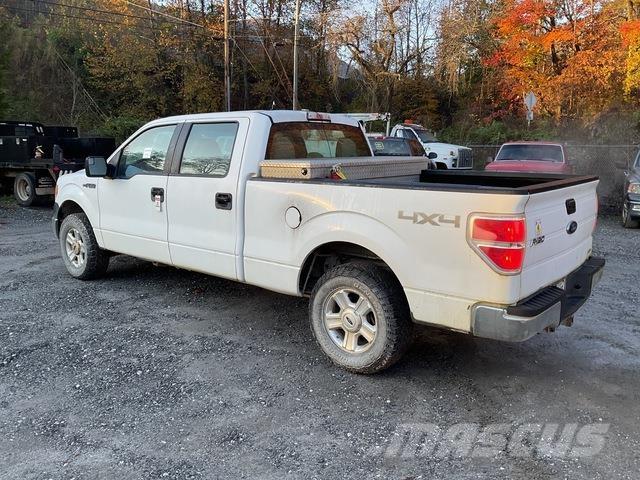 Ford F-150 Pick up/Fiancata ribaltabile