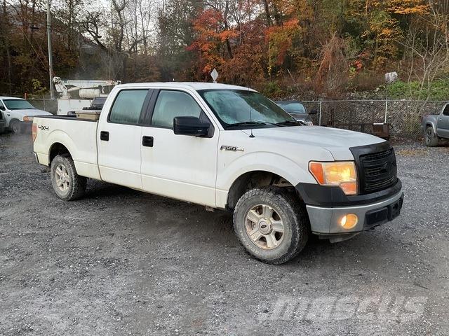 Ford F-150 Pick up/Fiancata ribaltabile