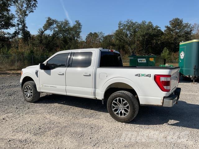Ford F-150 Pick up/Fiancata ribaltabile
