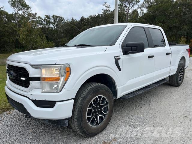 Ford F-150 Pick up/Fiancata ribaltabile