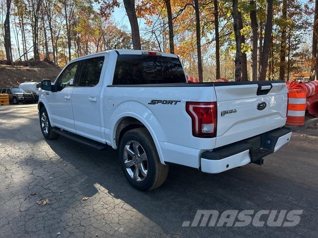Ford F-150 Pick up/Fiancata ribaltabile