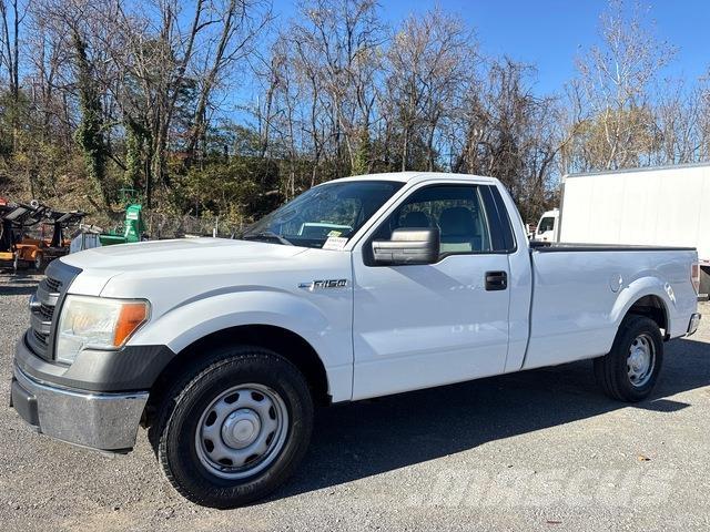 Ford F-150 Pick up/Fiancata ribaltabile