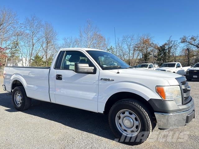 Ford F-150 Pick up/Fiancata ribaltabile