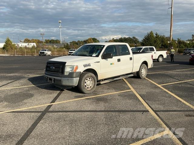 Ford F-150 Pick up/Fiancata ribaltabile