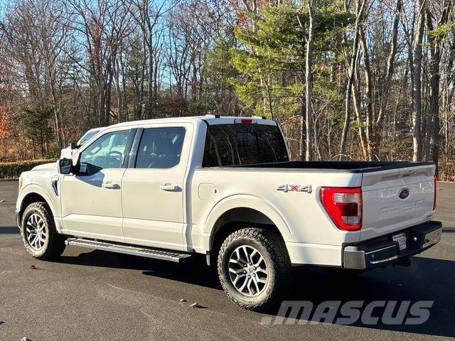 Ford F-150 Pick up/Fiancata ribaltabile