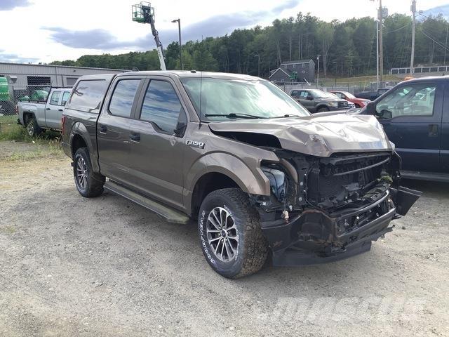 Ford F-150 XL Pick up/Fiancata ribaltabile