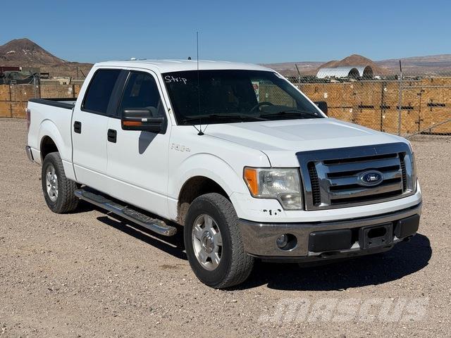 Ford F-150 XLT Pick up/Fiancata ribaltabile