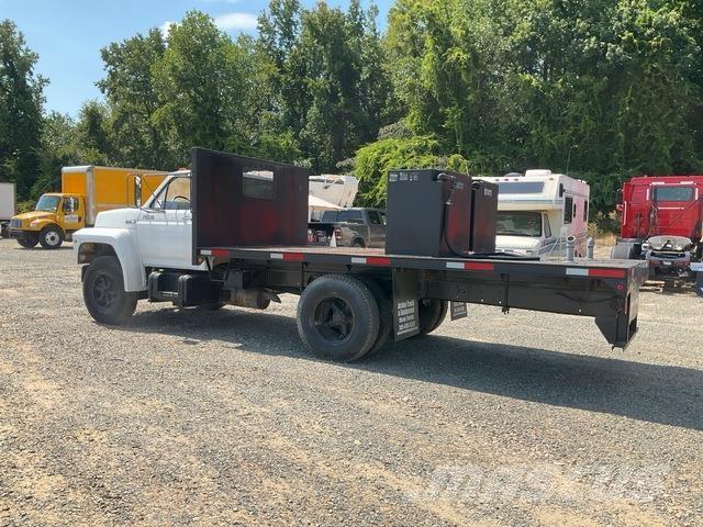 Ford F-600 Camion con sponde ribaltabili