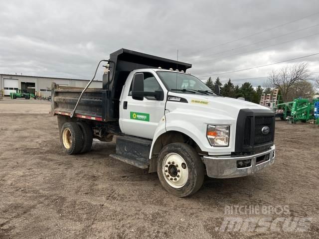 Ford F-650 Camion ribaltabili
