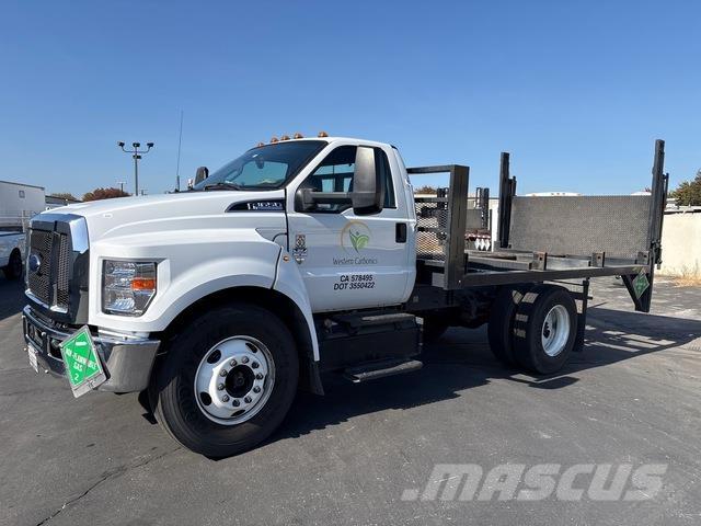 Ford F-650 Camion con sponde ribaltabili