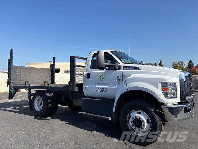 Ford F-650 Camion con sponde ribaltabili