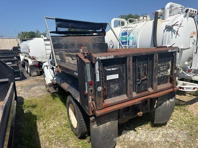 Ford F-650 XLT Camion ribaltabili