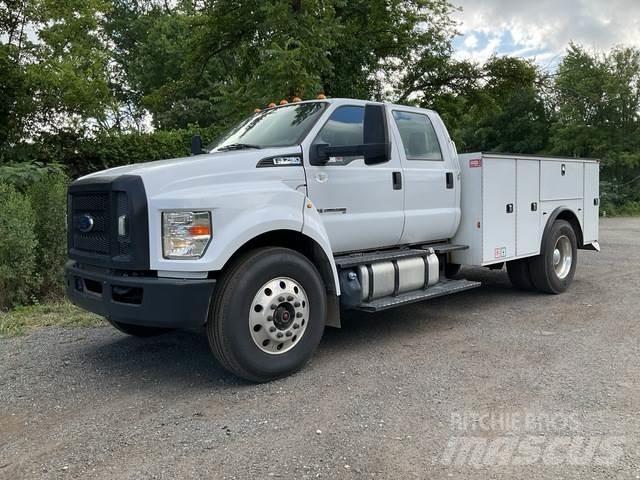 Ford F-750 Pick up/Fiancata ribaltabile