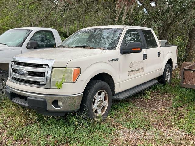 Ford F150 XLT Pick up/Fiancata ribaltabile