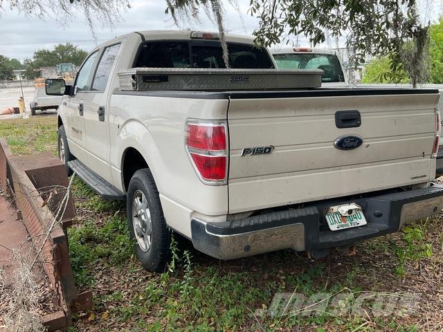 Ford F150 XLT Pick up/Fiancata ribaltabile