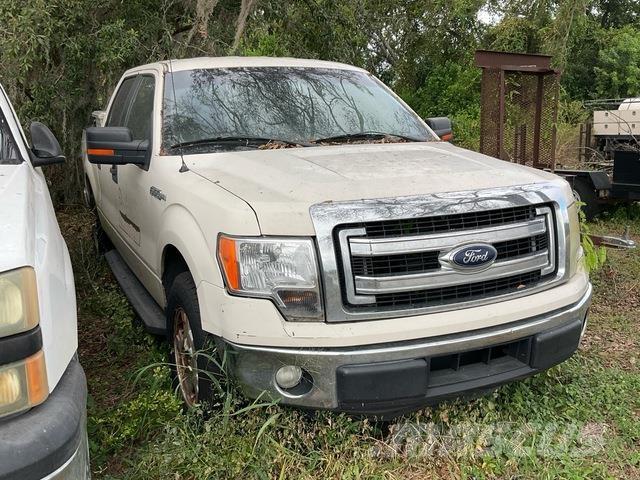 Ford F150 XLT Pick up/Fiancata ribaltabile