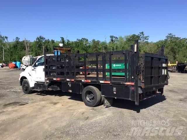 Ford F650 Camion con sponde ribaltabili