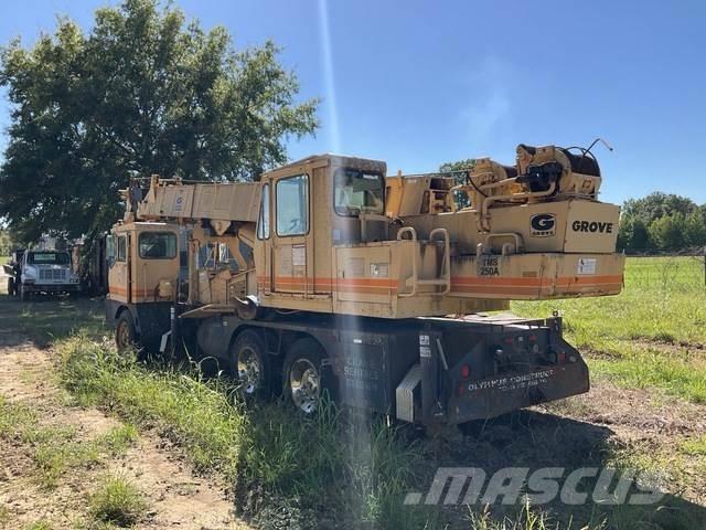 Grove TMS 250A Gru cingolate