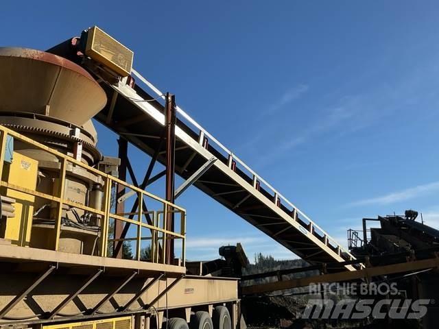  Reesco 36X60 Nastri trasportatori