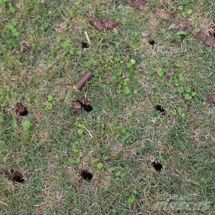 Classen SA-30A Aeratori e scoticatori terreno