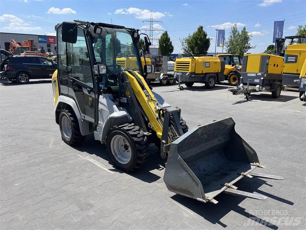 Kramer 5035 Pale gommate