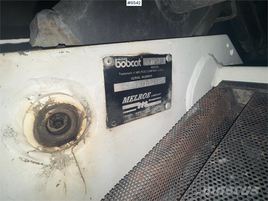 Bobcat 7753 Pale multiuso