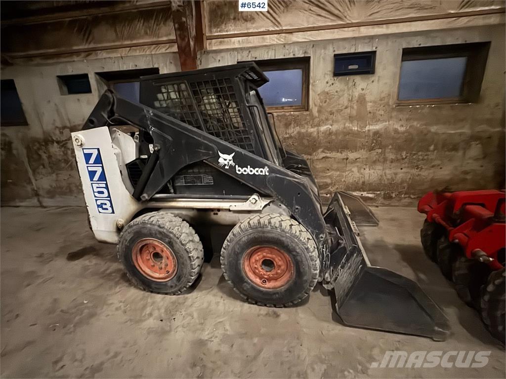 Bobcat 7753 Pale multiuso
