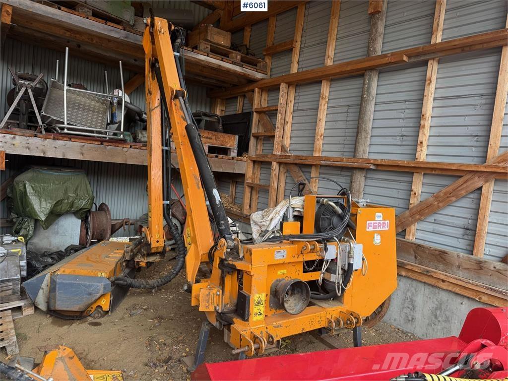  Ferry Beitepusser Altri macchinari per raccolta