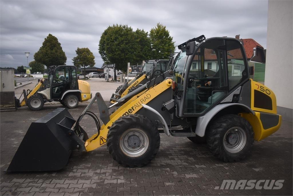 Kramer 750 Pale gommate