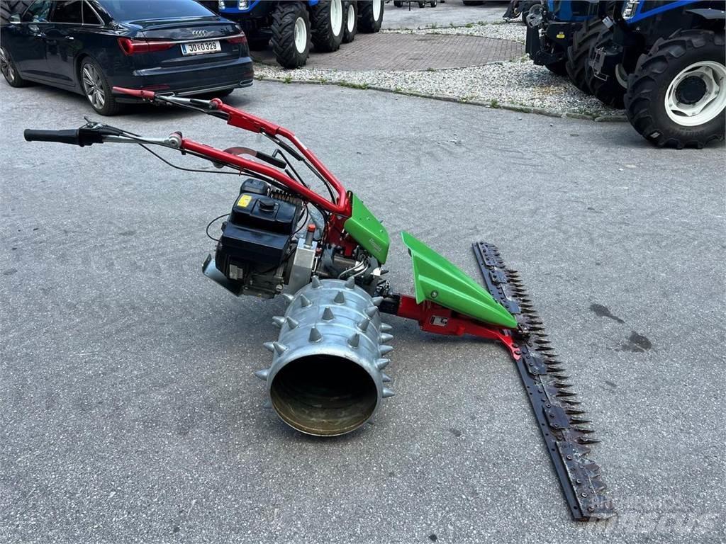 Rapid  Trattorini tagliaerba