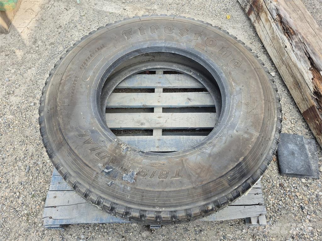 Firestone  Pneumatici, ruote e cerchioni