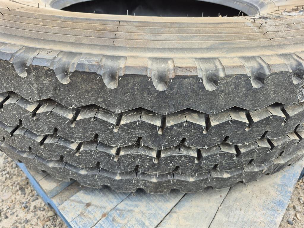 Firestone  Pneumatici, ruote e cerchioni